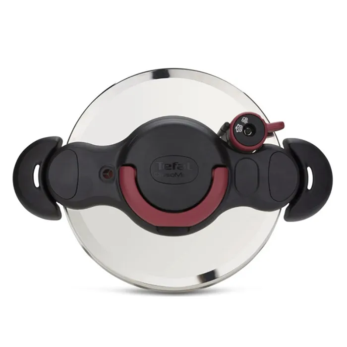 زودپز تفال مدل P4624766