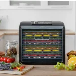 میوه خشک کن سنکور 6600