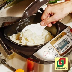 پلوپز رویایی: 9 نکته برای انتخاب بهترین مدل!