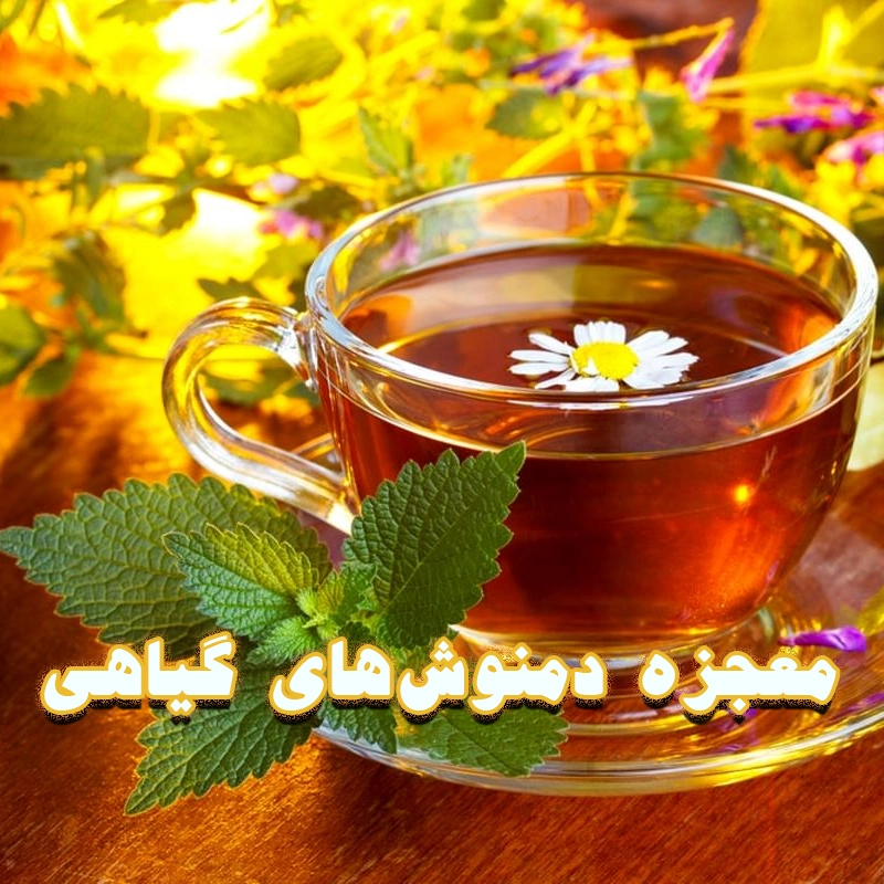 معجزه دمنوش‌های گیاهی برای رفع گرفتگی عضلات